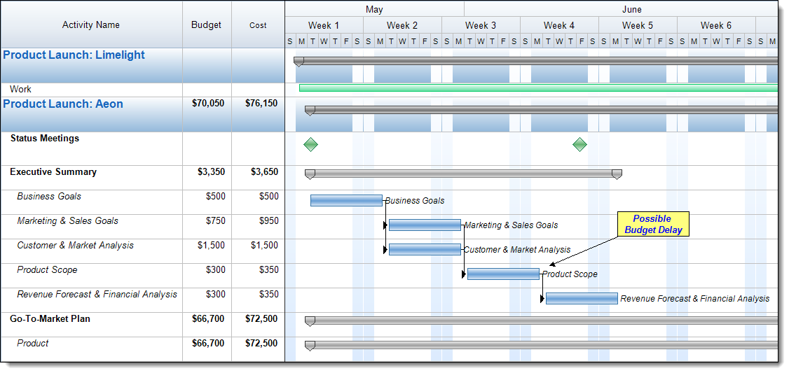 Tracking Budgets with FastTrack Schedule