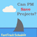 Your Company Has Problems – Can PM Save It?