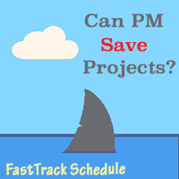 A shark fin with the text, "Can PM Save Projects?"